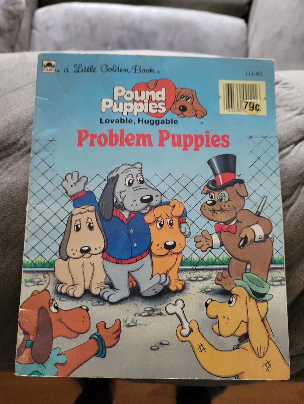 Pound Puppies Problem Puppies Book